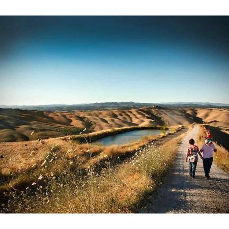 Agriturismo Le Crete - Appartamenti Asciano Eksteriør bilde