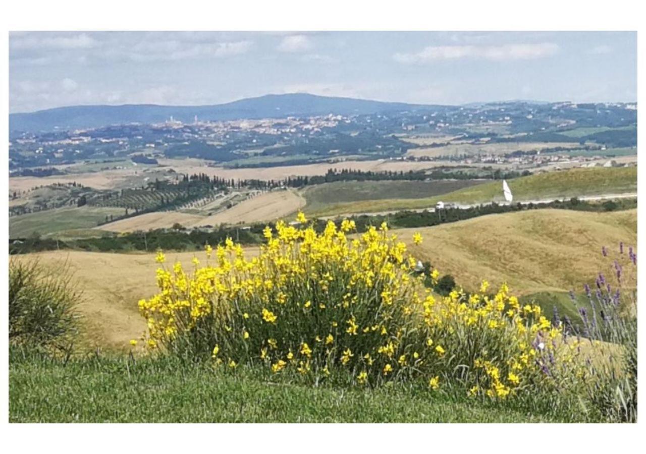 Agriturismo Le Crete - Appartamenti Asciano Eksteriør bilde