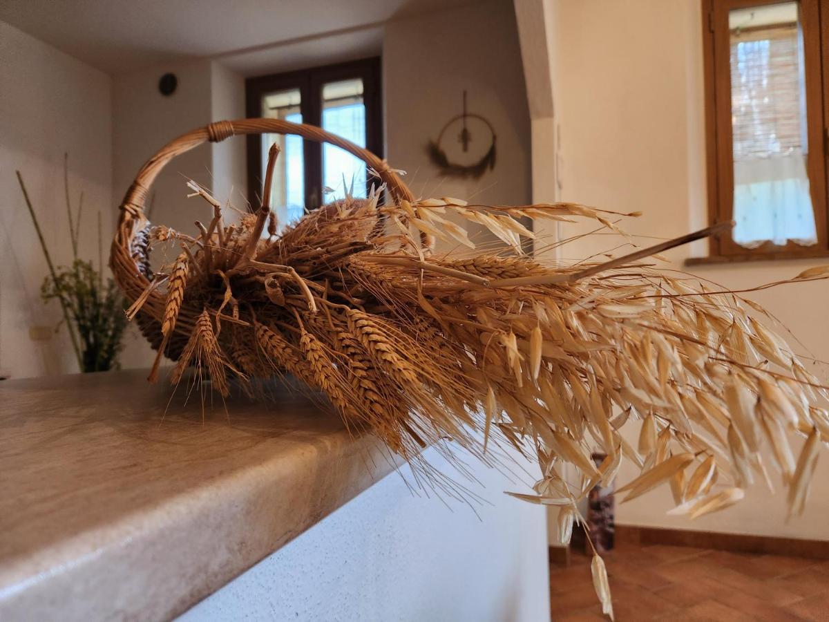 Agriturismo Le Crete - Appartamenti Asciano Eksteriør bilde